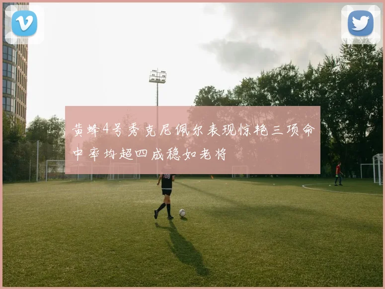 黄蜂4号秀克尼佩尔表现惊艳三项命中率均超四成稳如老将